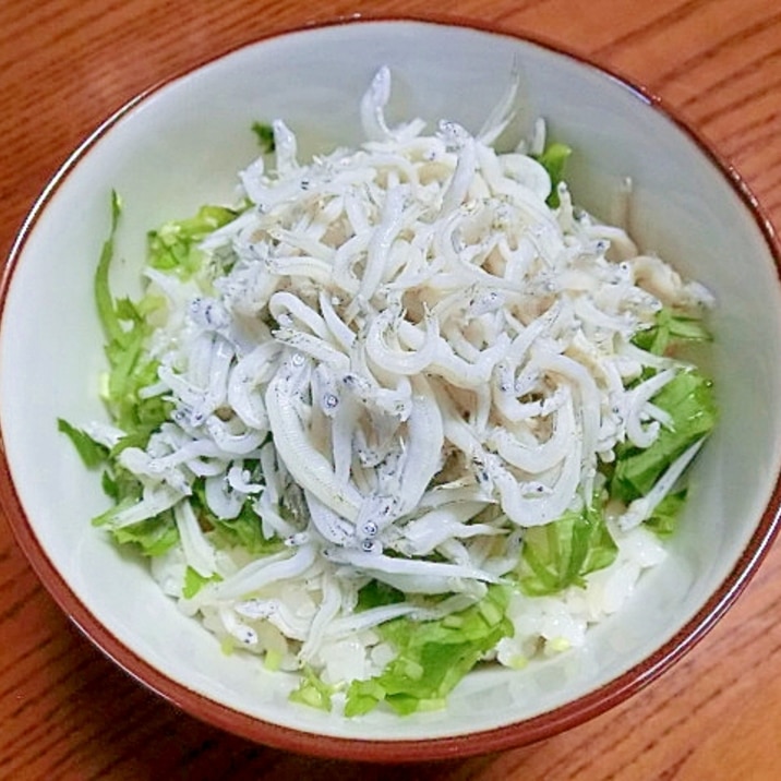 酢飯であっさり♪　釜揚げしらす丼